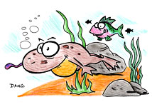 Berlingot nage sous l'eau, dans la mare avec les poissons Illustrations enfants un dessin de Dang  imprimer pour travailler une technique particulire de coloriage, celle de Dang