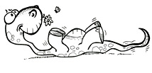 Diplodys est un diplodocus joueur qui visite les lieux o les enfants et les parents peuvent sortir. Un petit dinosaure qui aime les sorties, les papillons et se rouler dans l'herbe mais quelquefois il se rend galement dans les muses et les expositions. Diplodys fait partie d'une famille de dinosaures un peu illumine. Cette super illustration fantastique est dessine et colorie par l'illustrateur de presse Dang. Ce coloriage est offert gratuitement sur coloriages pour enfants.com