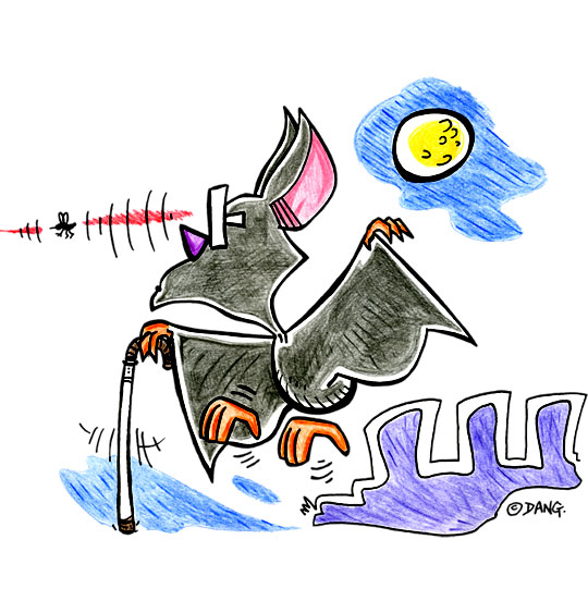 Dessin Chauve-souris, chauve-souris aveugle mais avec un radar, illustrateur Dang