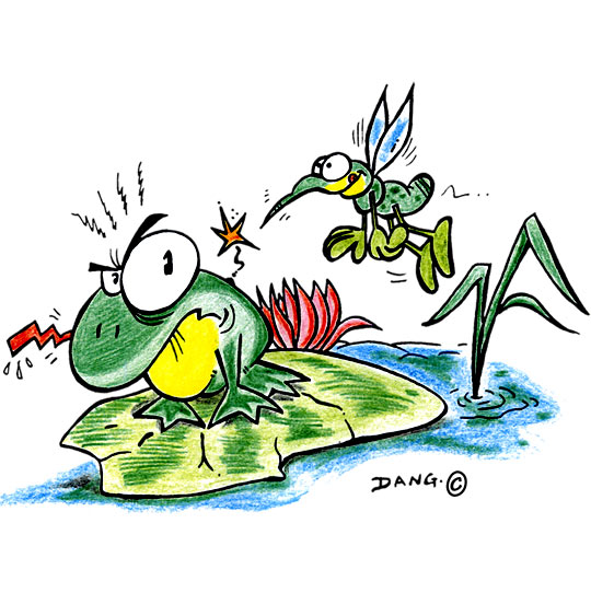 Dessin Petit moustique pique le crapaud, illustrateur Dang