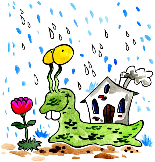 Dessin Petit escargot, un escargot sous la pluie, illustrateur Dang